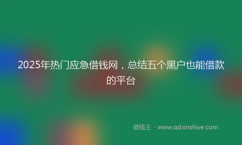 2025年热门应急借钱网，总结五个黑户也能借款的平台