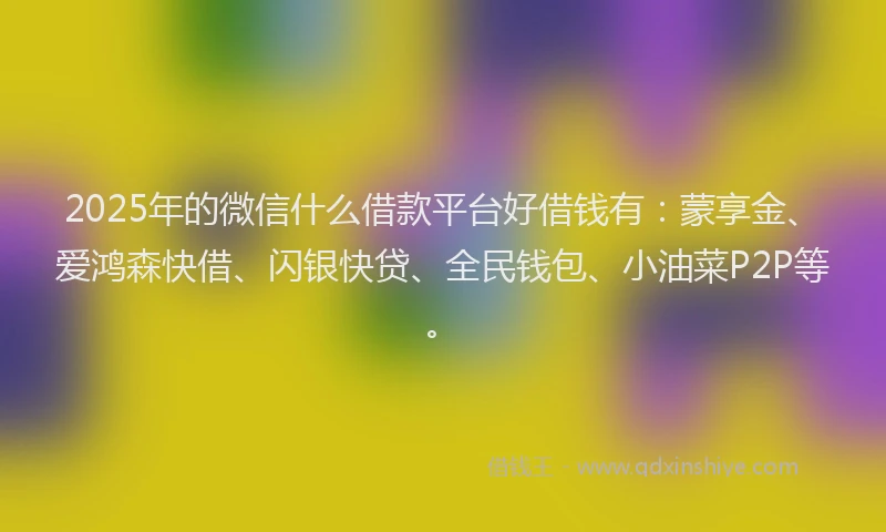 2025年的微信什么借款平台好借钱有：蒙享金、爱鸿森快借、闪银快贷、全民钱包、小油菜P2P等。
