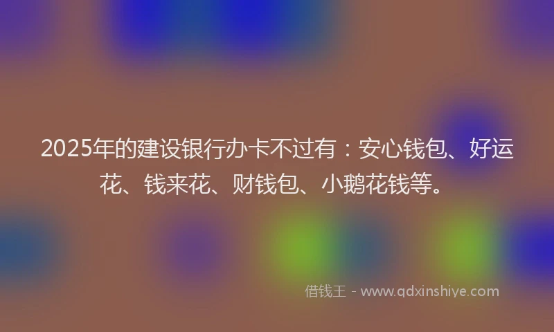 2025年的建设银行办卡不过有：安心钱包、好运花、钱来花、财钱包、小鹅花钱等。