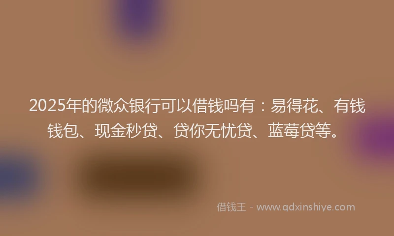 2025年的微众银行可以借钱吗有：易得花、有钱钱包、现金秒贷、贷你无忧贷、蓝莓贷等。