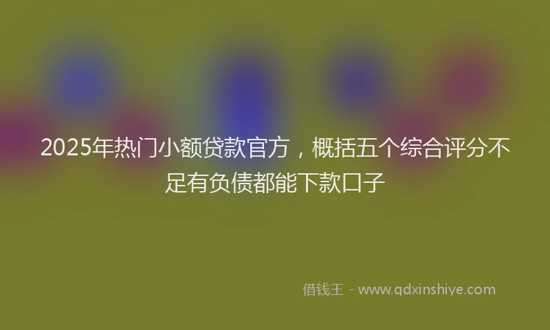 2025年热门小额贷款官方，概括五个综合评分不足有负债都能下款口子