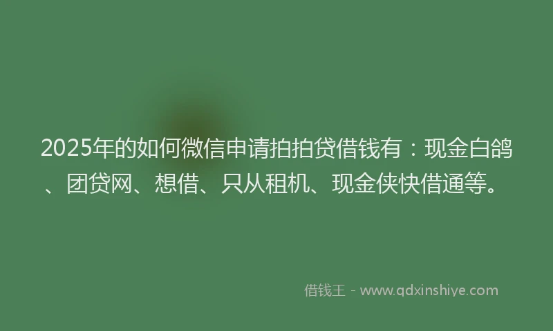 2025年的如何微信申请拍拍贷借钱有：现金白鸽、团贷网、想借、只从租机、现金侠快借通等。