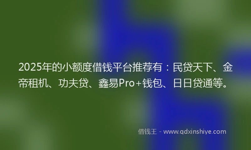 2025年的小额度借钱平台推荐有：民贷天下、金帝租机、功夫贷、鑫易Pro+钱包、日日贷通等。