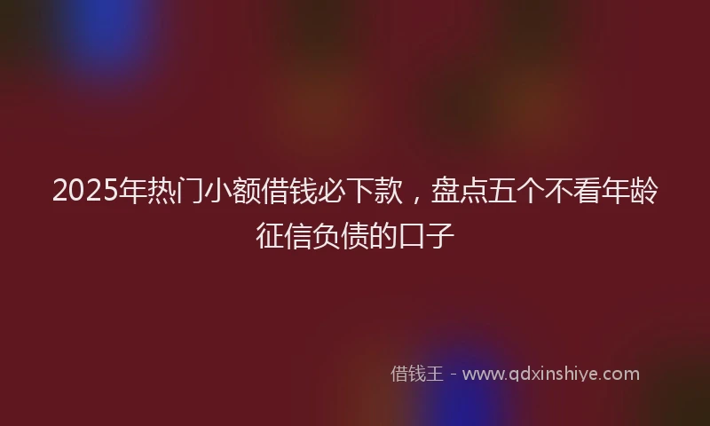 2025年热门小额借钱必下款，盘点五个不看年龄征信负债的口子