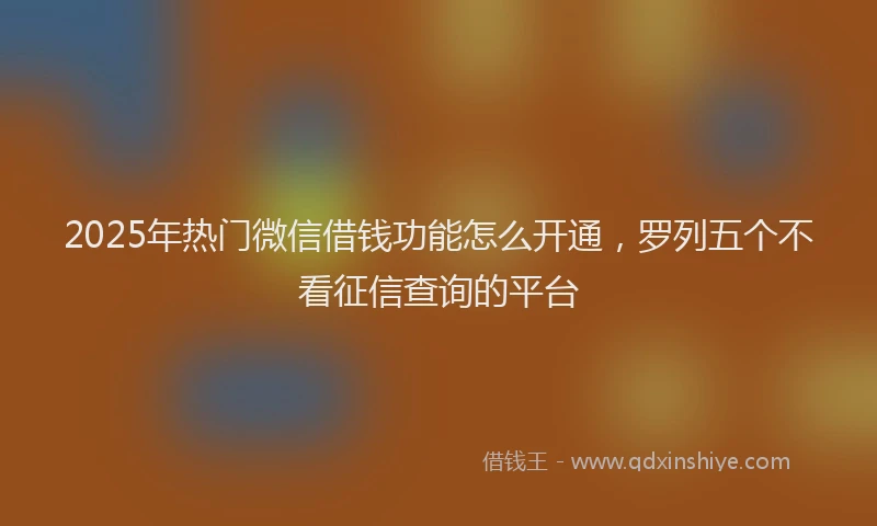 2025年热门微信借钱功能怎么开通，罗列五个不看征信查询的平台