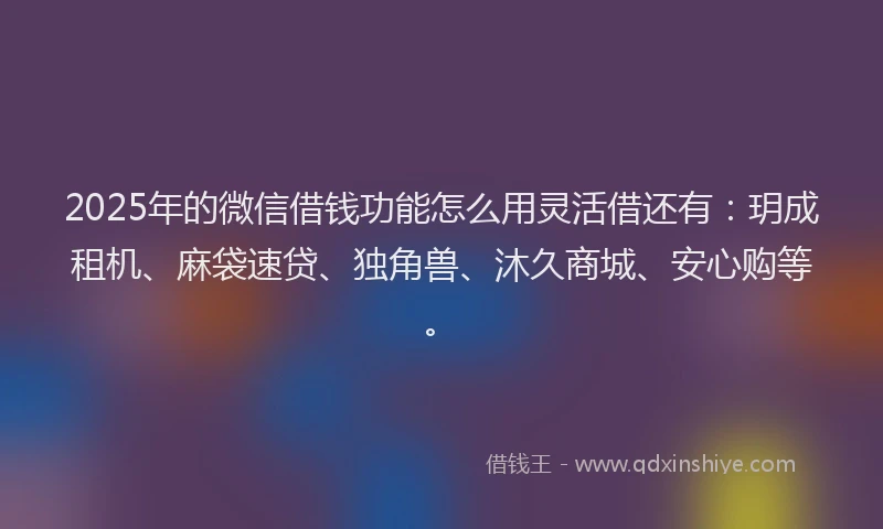2025年的微信借钱功能怎么用灵活借还有：玥成租机、麻袋速贷、独角兽、沐久商城、安心购等。