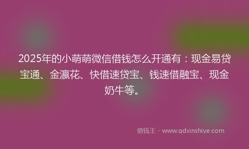2025年的小萌萌微信借钱怎么开通有：现金易贷宝通、金瀛花、快借速贷宝、钱速借融宝、现金奶牛等。