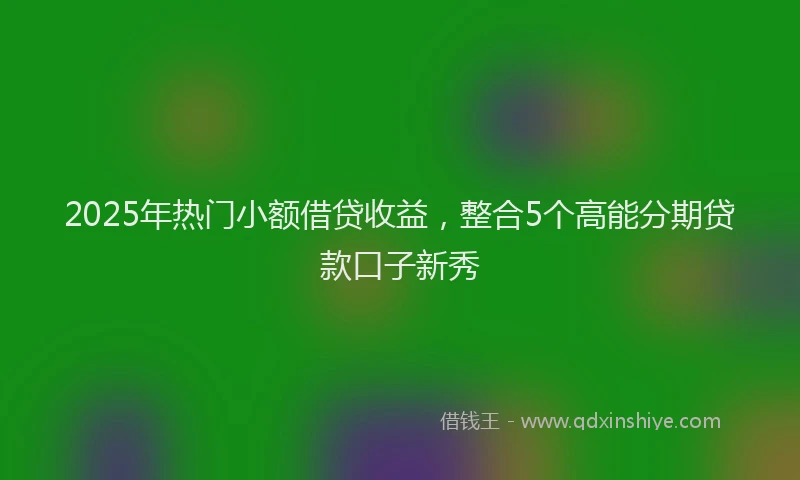 2025年热门小额借贷收益，整合5个高能分期贷款口子新秀