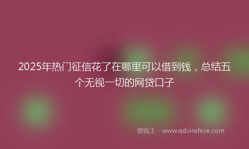 2025年热门征信花了在哪里可以借到钱，总结五个无视一切的网贷口子