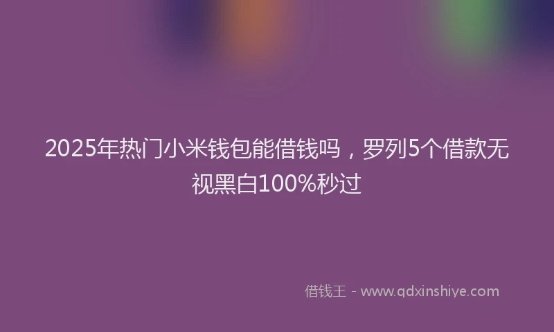 2025年热门小米钱包能借钱吗，罗列5个借款无视黑白100%秒过