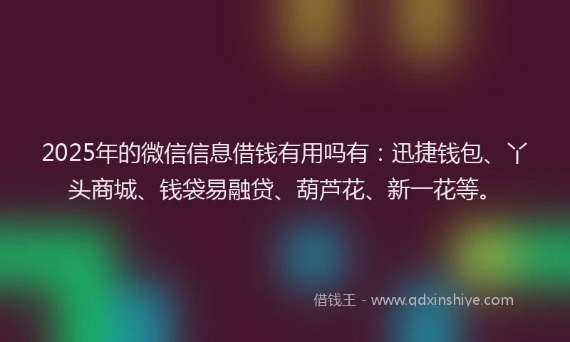 2025年的微信信息借钱有用吗有：迅捷钱包、丫头商城、钱袋易融贷、葫芦花、新一花等。