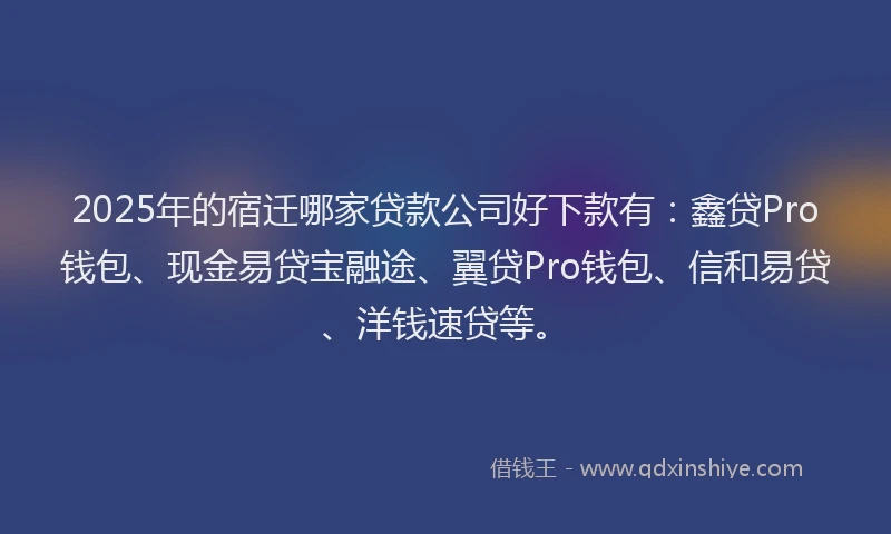 2025年的宿迁哪家贷款公司好下款有：鑫贷Pro钱包、现金易贷宝融途、翼贷Pro钱包、信和易贷、洋钱速贷等。