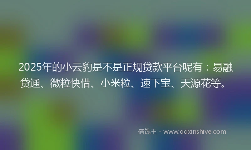2025年的小云豹是不是正规贷款平台呢有：易融贷通、微粒快借、小米粒、速下宝、天源花等。