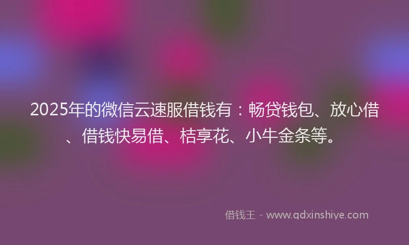 2025年的微信云速服借钱有：畅贷钱包、放心借、借钱快易借、桔享花、小牛金条等。
