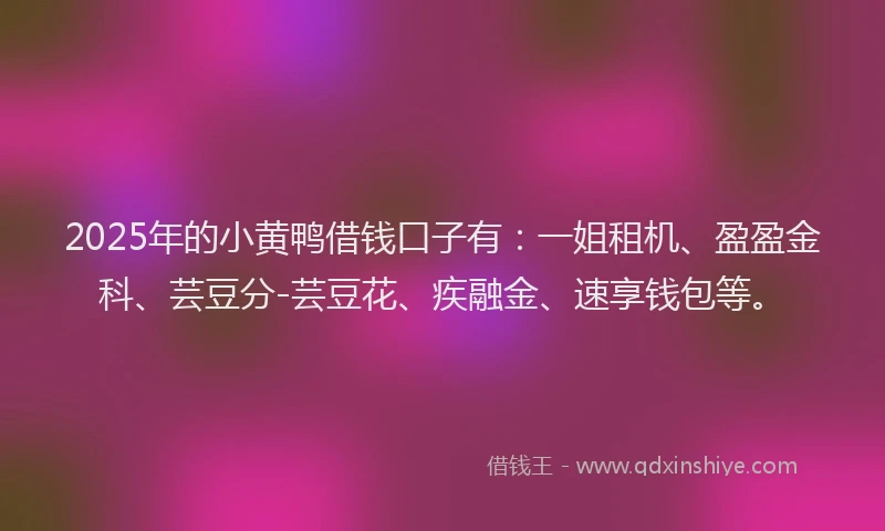 2025年的小黄鸭借钱口子有：一姐租机、盈盈金科、芸豆分-芸豆花、疾融金、速享钱包等。