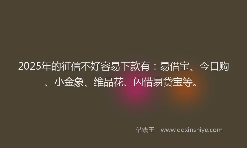 2025年的征信不好容易下款有：易借宝、今日购、小金象、维品花、闪借易贷宝等。