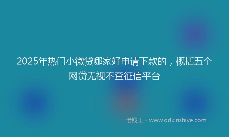2025年热门小微贷哪家好申请下款的，概括五个网贷无视不查征信平台