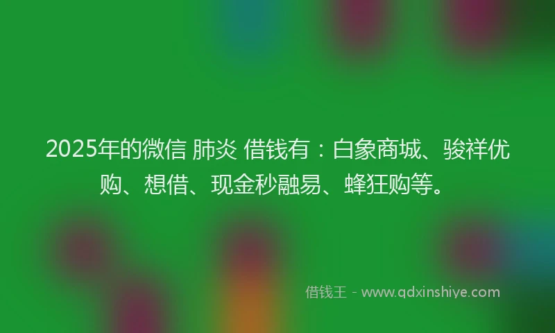 2025年的微信 肺炎 借钱有：白象商城、骏祥优购、想借、现金秒融易、蜂狂购等。