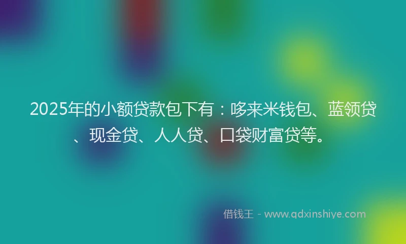 2025年的小额贷款包下有：哆来米钱包、蓝领贷、现金贷、人人贷、口袋财富贷等。