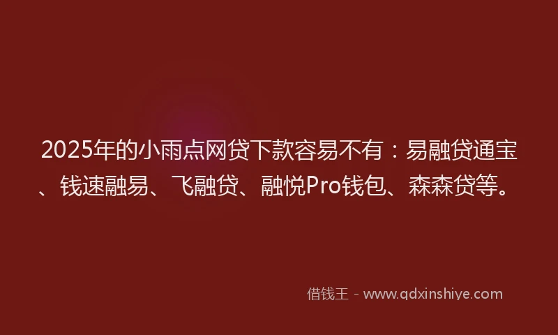 2025年的小雨点网贷下款容易不有：易融贷通宝、钱速融易、飞融贷、融悦Pro钱包、森森贷等。