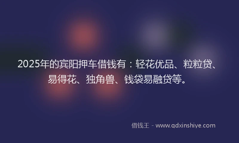 2025年的宾阳押车借钱有：轻花优品、粒粒贷、易得花、独角兽、钱袋易融贷等。
