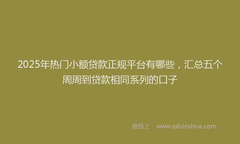 2025年热门小额贷款正规平台有哪些，汇总五个周周到贷款相同系列的口子