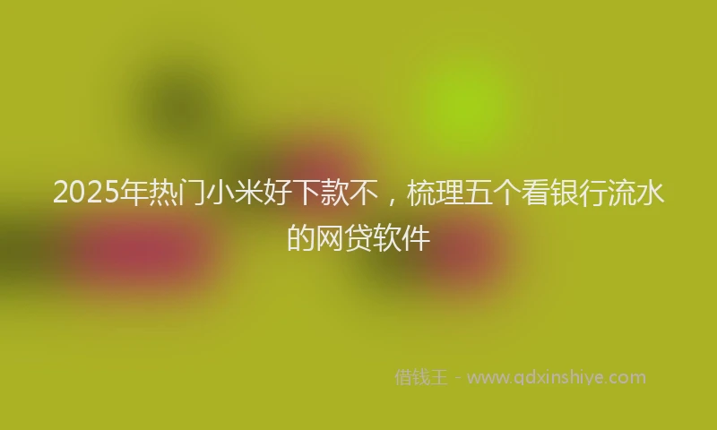 2025年热门小米好下款不，梳理五个看银行流水的网贷软件