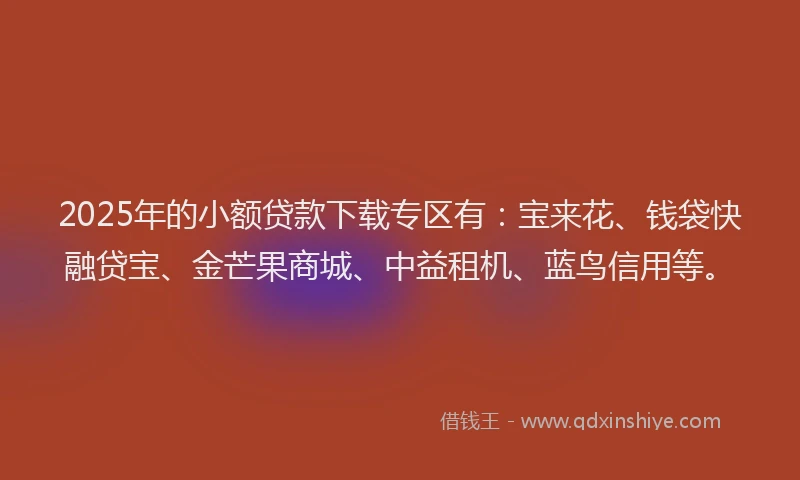2025年的小额贷款下载专区有：宝来花、钱袋快融贷宝、金芒果商城、中益租机、蓝鸟信用等。
