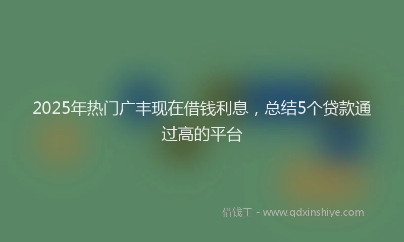 2025年热门广丰现在借钱利息，总结5个贷款通过高的平台