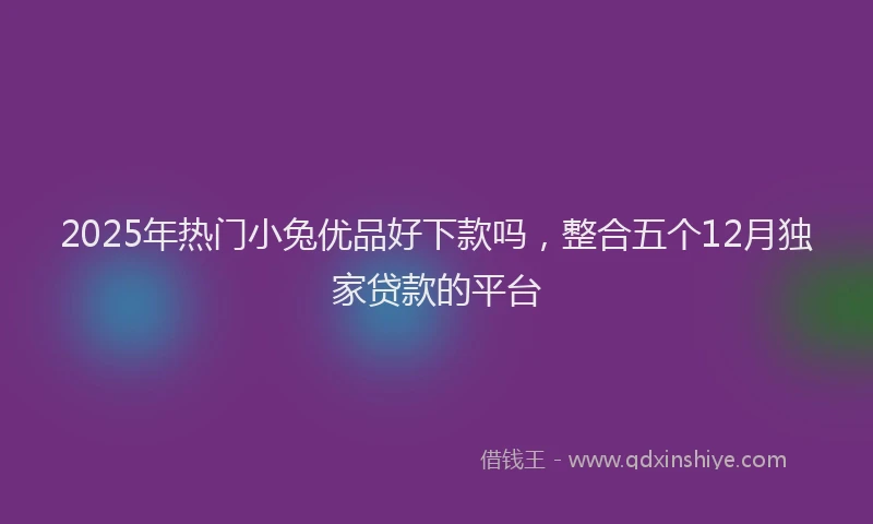 2025年热门小兔优品好下款吗，整合五个12月独家贷款的平台