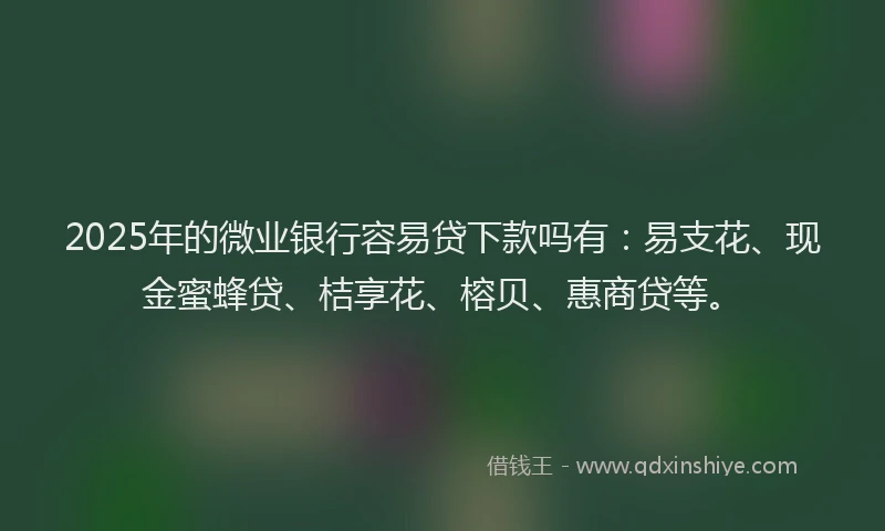 2025年的微业银行容易贷下款吗有：易支花、现金蜜蜂贷、桔享花、榕贝、惠商贷等。
