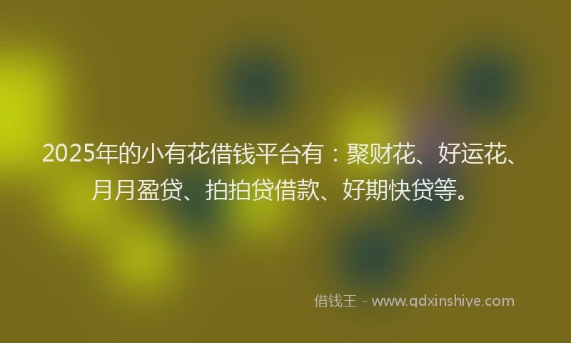 2025年的小有花借钱平台有：聚财花、好运花、月月盈贷、拍拍贷借款、好期快贷等。