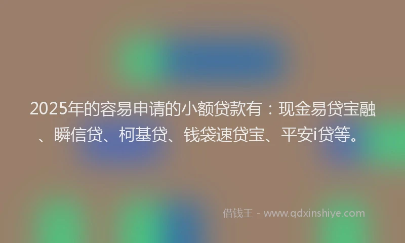 2025年的容易申请的小额贷款有：现金易贷宝融、瞬信贷、柯基贷、钱袋速贷宝、平安i贷等。