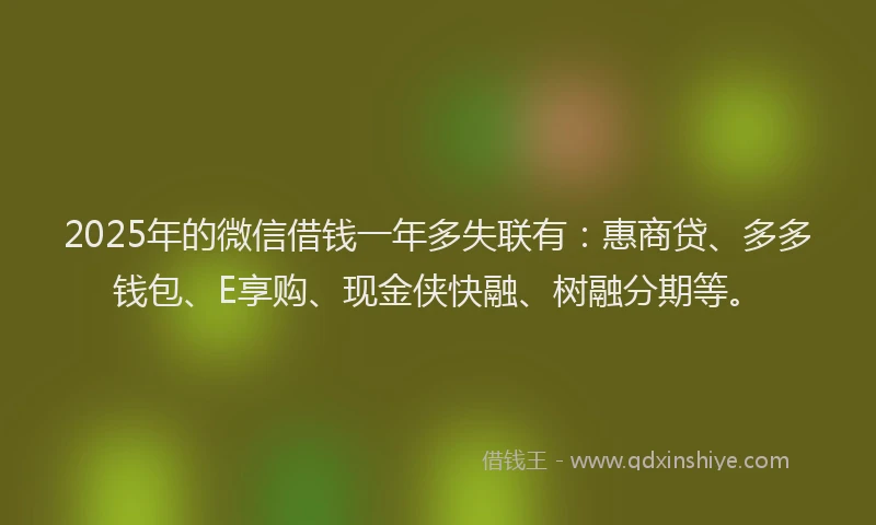 2025年的微信借钱一年多失联有：惠商贷、多多钱包、E享购、现金侠快融、树融分期等。