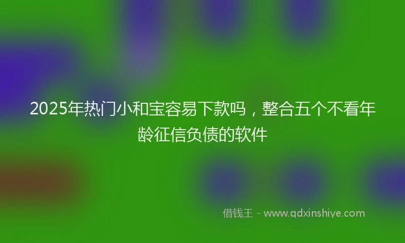 2025年热门小和宝容易下款吗，整合五个不看年龄征信负债的软件