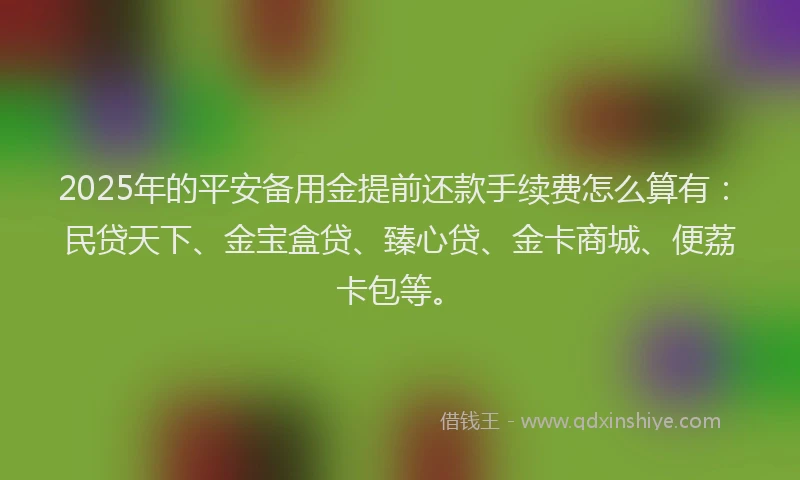 2025年的平安备用金提前还款手续费怎么算有：民贷天下、金宝盒贷、臻心贷、金卡商城、便荔卡包等。
