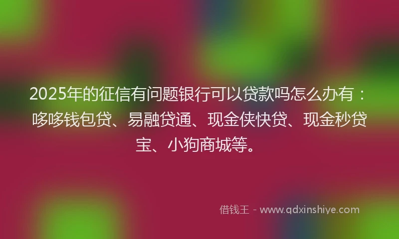 2025年的征信有问题银行可以贷款吗怎么办有：哆哆钱包贷、易融贷通、现金侠快贷、现金秒贷宝、小狗商城等。