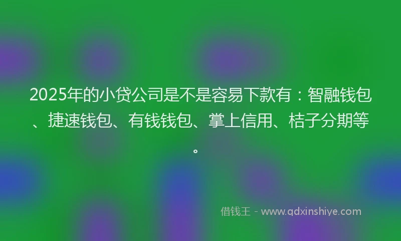 2025年的小贷公司是不是容易下款有：智融钱包、捷速钱包、有钱钱包、掌上信用、桔子分期等。