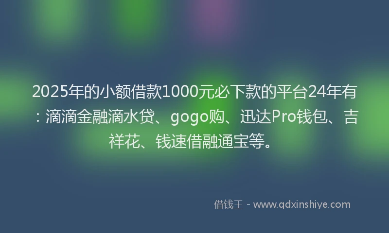 2025年的小额借款1000元必下款的平台24年有：滴滴金融滴水贷、gogo购、迅达Pro钱包、吉祥花、钱速借融通宝等。