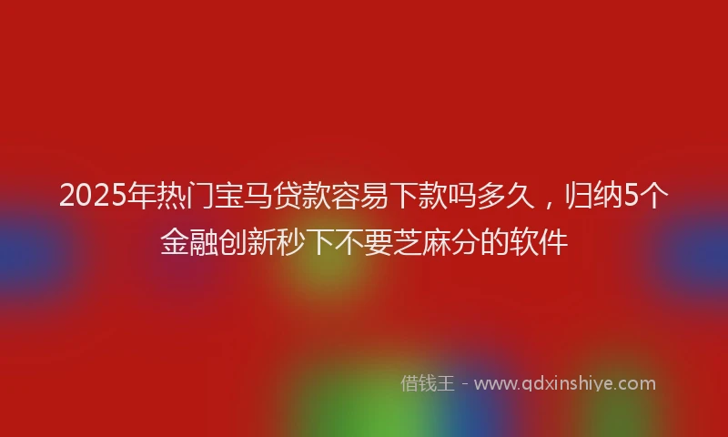 2025年热门宝马贷款容易下款吗多久，归纳5个金融创新秒下不要芝麻分的软件