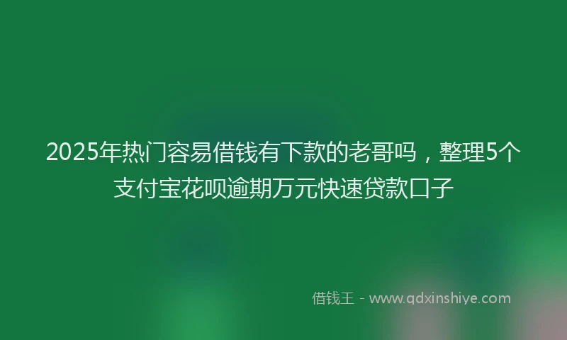 2025年热门容易借钱有下款的老哥吗，整理5个支付宝花呗逾期万元快速贷款口子