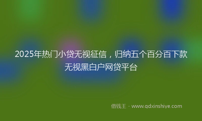 2025年热门小贷无视征信，归纳五个百分百下款无视黑白户网贷平台