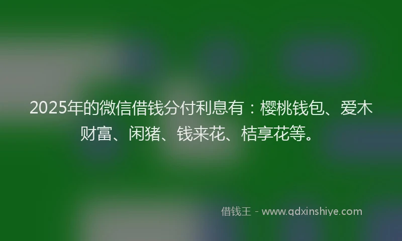2025年的微信借钱分付利息有：樱桃钱包、爱木财富、闲猪、钱来花、桔享花等。