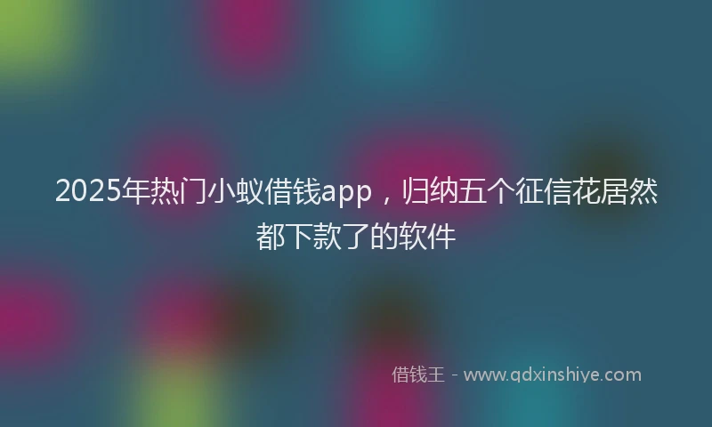 2025年热门小蚁借钱app，归纳五个征信花居然都下款了的软件
