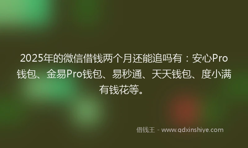 2025年的微信借钱两个月还能追吗有：安心Pro钱包、金易Pro钱包、易秒通、天天钱包、度小满有钱花等。