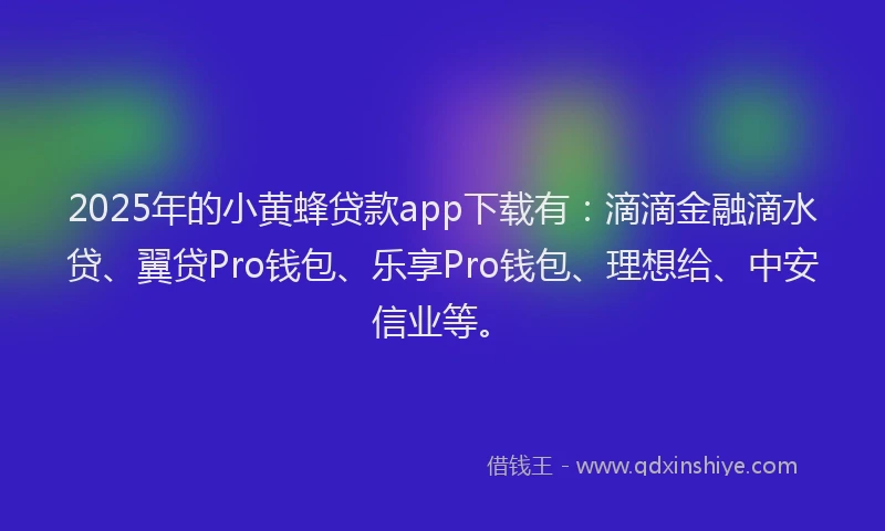 2025年的小黄蜂贷款app下载有：滴滴金融滴水贷、翼贷Pro钱包、乐享Pro钱包、理想给、中安信业等。