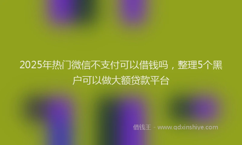 2025年热门微信不支付可以借钱吗，整理5个黑户可以做大额贷款平台