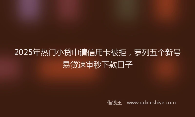 2025年热门小贷申请信用卡被拒，罗列五个新号易贷速审秒下款口子