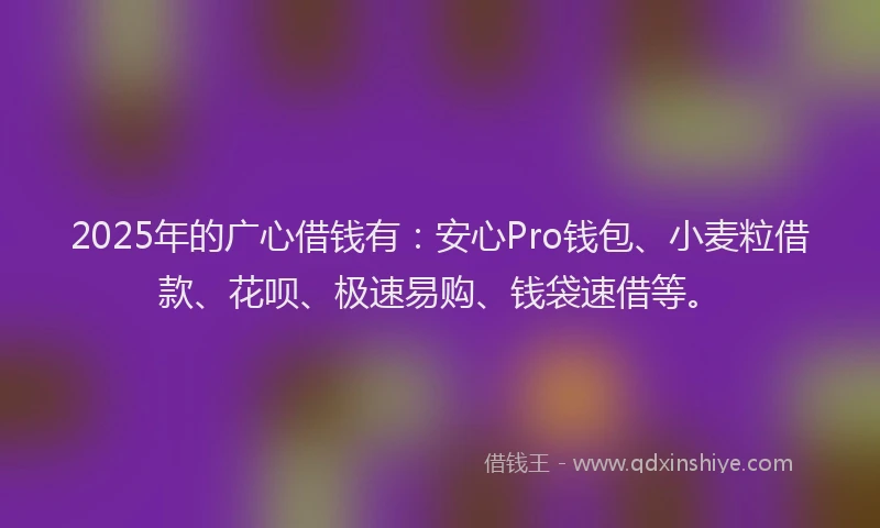2025年的广心借钱有：安心Pro钱包、小麦粒借款、花呗、极速易购、钱袋速借等。