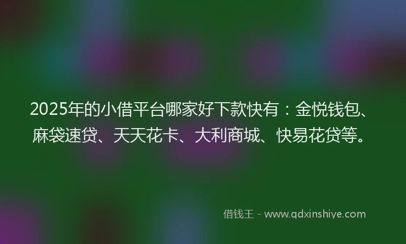 2025年的小借平台哪家好下款快有：金悦钱包、麻袋速贷、天天花卡、大利商城、快易花贷等。